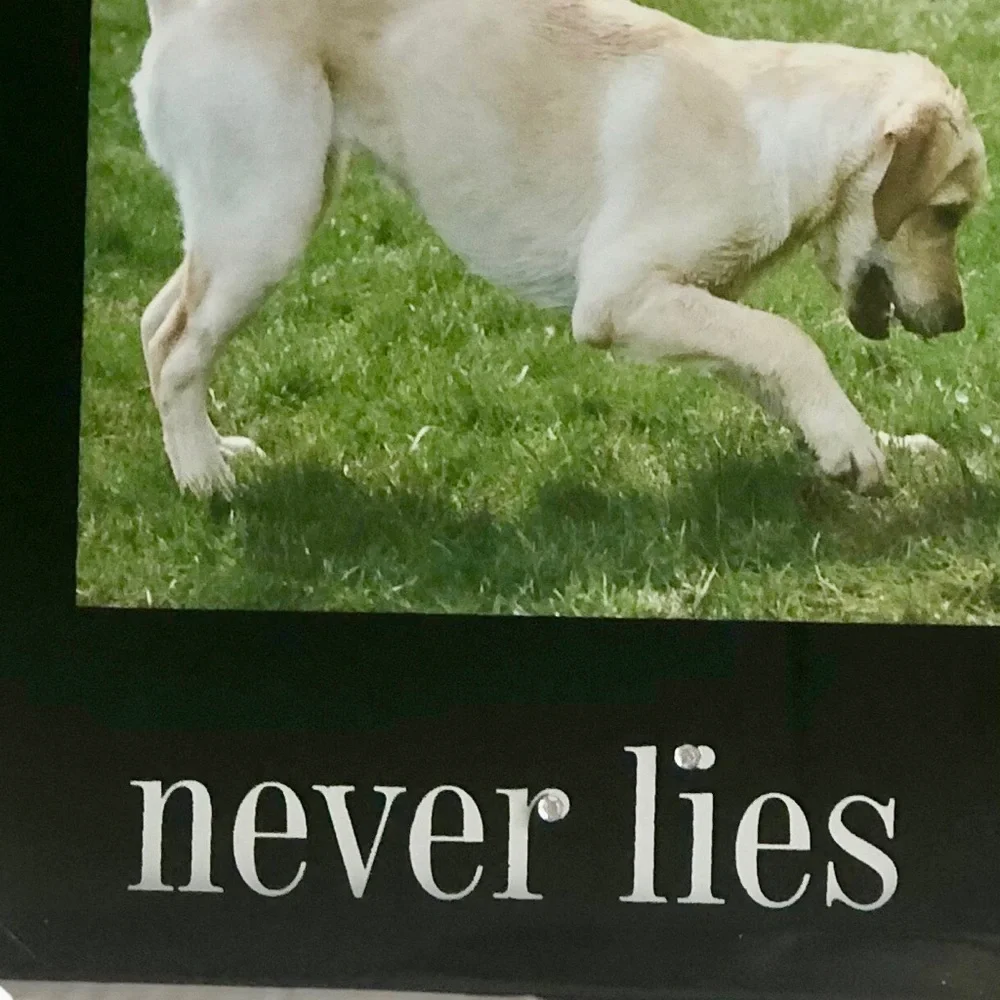 Christmas Pet Dog black glossy picture frame A Dogs Tail Never Lies 4” x 6”